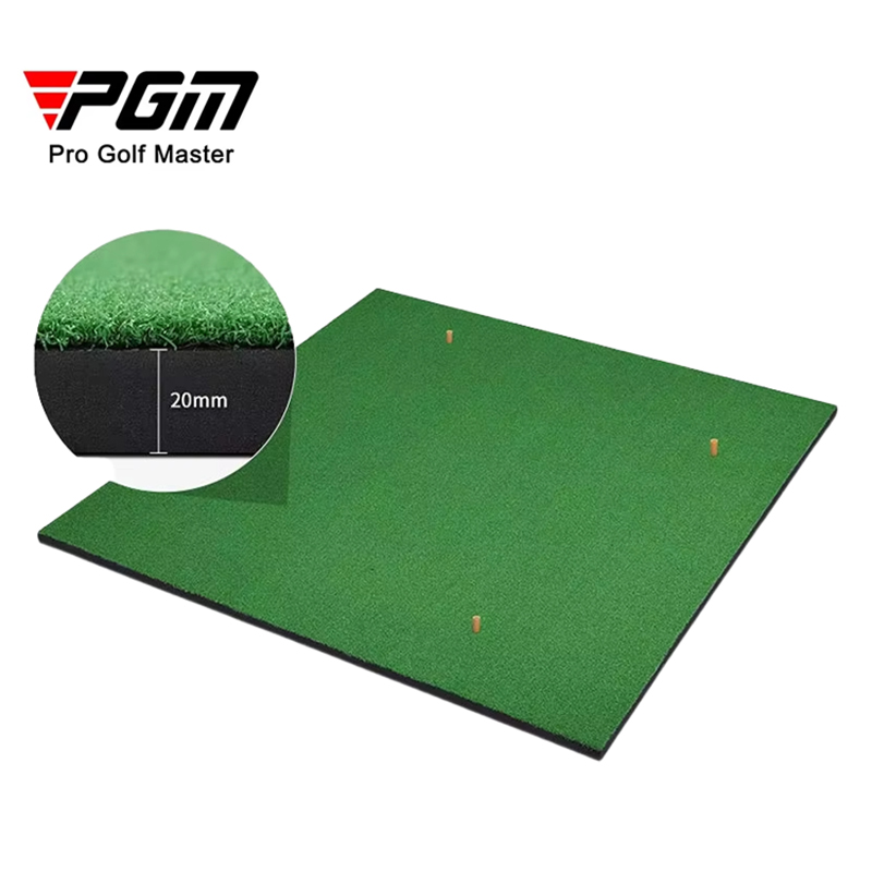 PGM-Indoor and Outdoor Golf Pr - Golf Putting Mat avis et prix