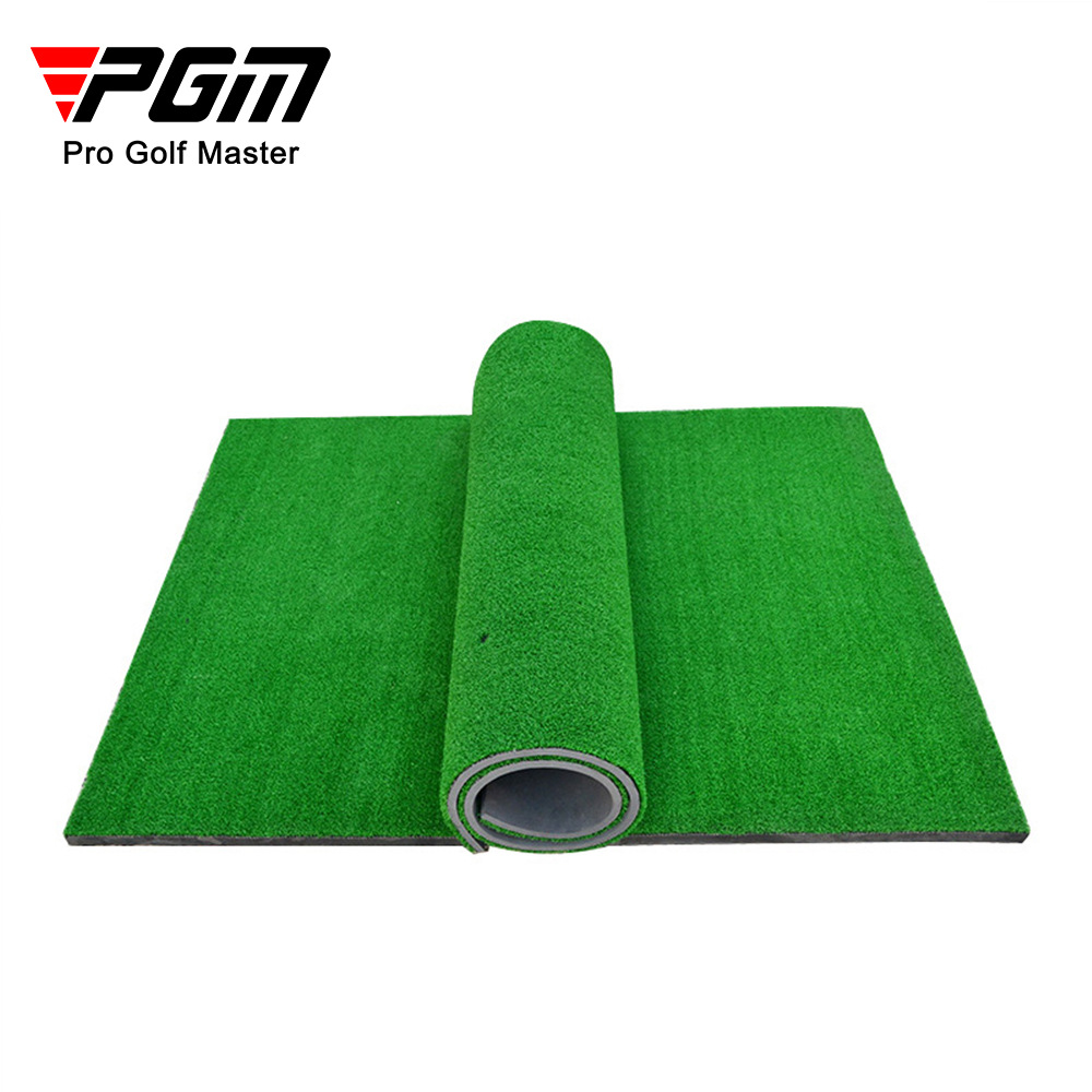 PGM-Indoor and Outdoor Golf Pr - Golf Putting Mat avis et prix